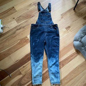 Levi's Skinny Side Zip Bleached Bib Overalls